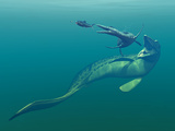 Marine Predators of the Cretaceous Period Photographic Print by  Stocktrek Images