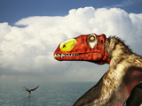 A Close-Up of a Colorful Large-Billed Dimorphodon Photographie par  Stocktrek Images