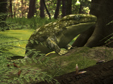 A Close-Up of a Three Foot Long Ichthyostega from the Late Devonian Period Photographic Print by  Stocktrek Images