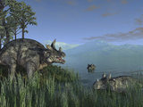 Three Estemmenosuchus Mirabilis Face Off in a Paleozoic Lake Lámina fotográfica por Stocktrek Images Three Estemmenosuchus Mirabilis Face Off in a Paleozoic Lake Lámina fotográfica por Stocktrek Images