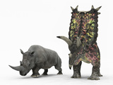 An Adult Pentaceratops Compared to a Modern Adult White Rhinoceros Stampa fotografica di Stocktrek Images