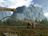 Diplodocus Dinosaurs Graze While Pterodactyls Fly Overhead Photographic Print by  Stocktrek Images