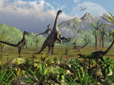 Velociraptor Dinosaurs Attack a Camarasaurus for their Next Meal Photographic Print by  Stocktrek Images