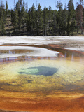 Chromatic Pool Hot Spring, Upper Geyser Basin Geothermal Area, Yellowstone National Park, Wyoming Photographic Print by  Stocktrek Images