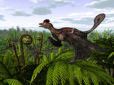 A Feathered Microraptor Perched Atop a Tree Fern Photographic Print by  Stocktrek Images