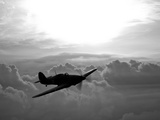 A Hawker Hurricane Aircraft in Flight Fotografie-Druck von  Stocktrek Images