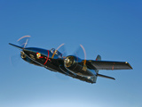 A Grumman F7F Tigercat in Flight Photographic Print by  Stocktrek Images