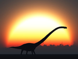 A Silhouetted Omeisaurus Walks Pass the Rising Sun at the Start of a New Day Photographic Print by  Stocktrek Images