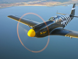 A P-51A Mustang in Flight Photographie par  Stocktrek Images