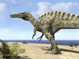 A Carnivorous Suchomimus Wanders a Beach on the Ancient Tethys Ocean Photographic Print by  Stocktrek Images