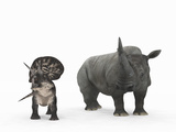 An Adult Zuniceratops Compared to a Modern Adult White Rhinoceros Photographic Print by  Stocktrek Images