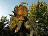 A Albertaceratops Wanders a Cretaceous Forest Lámina fotográfica por Stocktrek Images A Albertaceratops Wanders a Cretaceous Forest Lámina fotográfica por Stocktrek Images