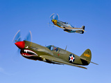A P-40E Warhawk and a P-51D Mustang Kimberly Kaye in Flight Fotografie-Druck von  Stocktrek Images