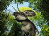 A Zuniceratops Wanders a Cretaceous Forest Photographic Print by  Stocktrek Images