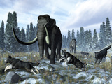 A Pack of Dire Wolves Crosses Paths with Two Mammoths During the Upper Pleistocene Epoch Photographic Print by  Stocktrek Images