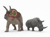 An Adult Triceratops Compared to a Modern Adult White Rhinoceros Photographic Print by  Stocktrek Images