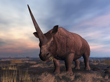 An Elasmotherium Grazing Photographic Print by  Stocktrek Images