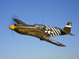 A P-51A Mustang in Flight Photographic Print by  Stocktrek Images