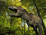 A Tyrannosaurus Wanders a Cretaceous Forest Photographic Print by  Stocktrek Images