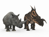 An Adult Einiosaurus Compared to a Modern Adult White Rhinoceros Stampa fotografica di Stocktrek Images