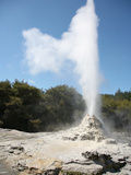 Lady Knox Geyser, Wai-O-Tapu Geothermal Area, Taupo Volcanic Zone, New Zealand Photographic Print by  Stocktrek Images
