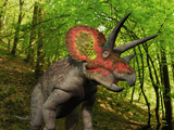 A Colorful Triceratops Wanders a Cretaceous Forest Lámina fotográfica por Stocktrek Images A Colorful Triceratops Wanders a Cretaceous Forest Lámina fotográfica por Stocktrek Images