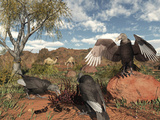 Pleistocene Black Vultures Feed on Carrion Photographic Print by  Stocktrek Images