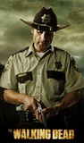 The Walking Dead Ensivedos