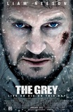 The Grey Posters The Grey Posters