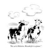 "No, we're Holsteins. Bösendorfer is a piano." - New Yorker Cartoon Premium Giclee Print by Ed Fisher