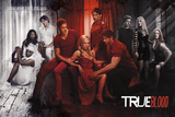 True Blood-Show Your True Colours Kunstdrucke