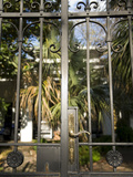 Home in the Residential Area of the Midtown Neighborhood in Atlanta Photographic Print by Krista Rossow