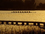 Crew Practice on Lake Banyoles Photographie par Tino Soriano