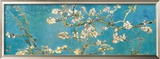 Almond Branches in Bloom, San Remy, c.1890 Prints by Vincent van Gogh