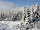 Winter Scene in Gatineau Park Just North of Ottawa, Canada's Capital Photographic Print by Kenneth Ginn