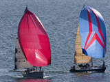 Sailboats Flying Spinnakers Near a Race Finish Line Photographic Print by Pete Ryan