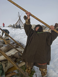 Nomadic Komi Reindeer Herders Assemble Chums over their Belongings Photographic Print by Gordon Wiltsie