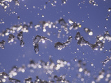 Droplets of Water from a Fountain Suspended in Air Against a Blue Sky Photographic Print by Paul Daimien