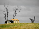 Old Shed in Grassy Field with Dead Stump Next to It Photographie par Brooke Whatnall