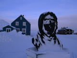 A Snow-Covered Bust of Roald Amundsen Covered in Snow Lámina fotográfica por Norbert Rosing