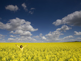 A Young Woman in Field of Rapeseed, Brassica Napus Photographic Print by Joe Petersburger