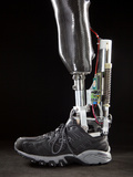 Motorized Springs in a Powered Ankle Push Off Like a Real Leg Photographic Print by Mark Thiessen