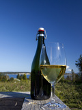 A Glas of Apple Cider at an Orchard Fotografisk tryk af Taylor S. Kennedy
