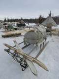 Pair of Skis, with Skins on the Bottom, on a Komi Herder's Sled Photographic Print by Gordon Wiltsie