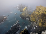 A Pair of Light-Mantled Sooty Albatross Soar Above Nesting Cliffs Photographie par Paul Nicklen