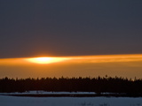 Sunset Glows over a Taiga Forest of Spruce and Birch Trees Photographie par Gordon Wiltsie