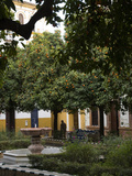 Early Morning in the Barrio De Santa Cruz, Seville, Andalusia, Spain Photographic Print by Krista Rossow