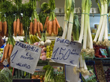 Fruit, Vegetable, Meat, and Fish Market, Mercado De Triana, Sevilla Photographic Print by Krista Rossow