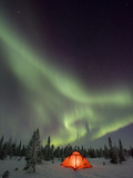 Northern Lights or Aurora Borealis over Illuminated Tent, Boreal Forest, North America Fotografisk trykk av Matthias Breiter/Minden Pictures Northern Lights or Aurora Borealis over Illuminated Tent, Boreal Forest, North America Fotografisk trykk av Matthias Breiter/Minden Pictures