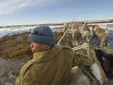 Komi Reindeer Herder Drives His Team Along a Dangerous Melting Stream Photographie par Gordon Wiltsie